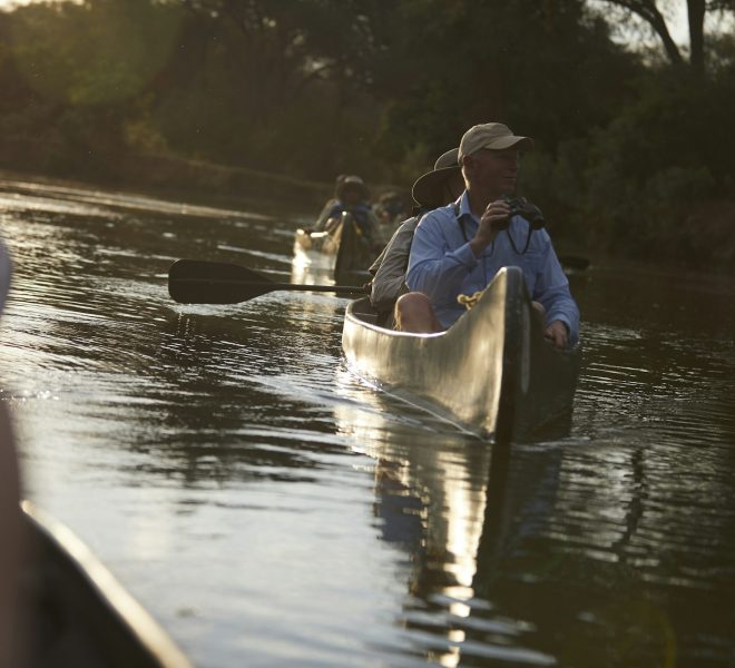 Tourists canoeing on safari, Zambezi, Zambia